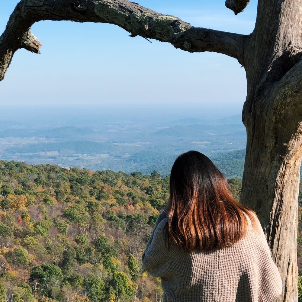 Meet your Posher, Sophia